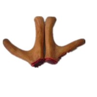 長(zhǎng)春特產(chǎn) 東北鹿鞭 新鮮 鹿場(chǎng)直銷 發(fā)情期成年鹿鞭整zhi