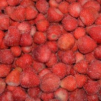 冷凍草莓速凍草莓1KG冷凍新鮮水果采購批發(fā)