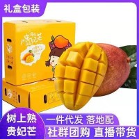 海南三亞樹上熟貴妃芒新鮮應季水果香甜多汁5斤／8斤芒果產地批發(fā)