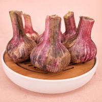 山東大蒜一件代發 干蒜，大干蒜 專業倉儲 ERP對接 5斤裝