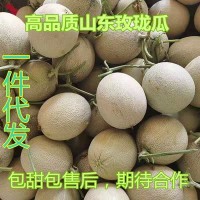 山東玫瓏瓜網(wǎng)紋瓜哈密瓜新鮮當季孕婦水果純甜現(xiàn)摘包郵一件代發(fā)