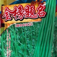 批發(fā)蔬菜種子 華贛翠綠長(zhǎng)豆角 基地 菜園 菜場(chǎng)種子 400克廠(chǎng)家供應(yīng)