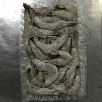 加工南美白對蝦，冷凍南美白對蝦，唐山南美白對蝦，天津南美蝦