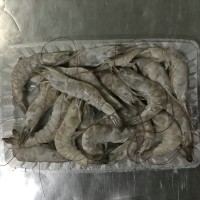 冷凍南美白對蝦，加工南美白對蝦，河北南美白對蝦，唐山南美對蝦