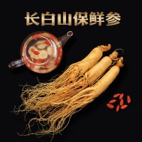 廠家直銷長(zhǎng)白山保鮮參 吉林保鮮人參東北特產(chǎn)新鮮人參泡酒保鮮參