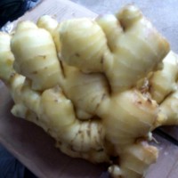 加工出口風(fēng)干姜 可出口食用大姜 廠家生產(chǎn)銷(xiāo)售【圖】