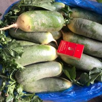 優(yōu)惠銷售水果青蘿卜，青皮青瓤及紫紅皮紫紅瓤蘿卜，甜脆可口