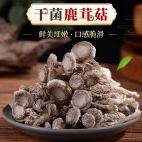 產地新鮮鹿茸菇500克 云南特產食用菌不開傘鹿茸菇新鮮蘑菇批發(fā) 2盒起批