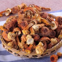 姬松茸批發(fā)云南特產巴西菇蘑菇食用菌松茸菌干貨500g散裝