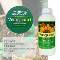 全水溶葉面肥亞磷酸鉀 高磷高鉀水溶肥 膨果?；ū９厣铱赝柿? onmouseover=