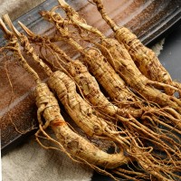 19年林下參干殘數(shù)長(zhǎng)白山微殘人參生嗮參老山參殘支足干東北人參