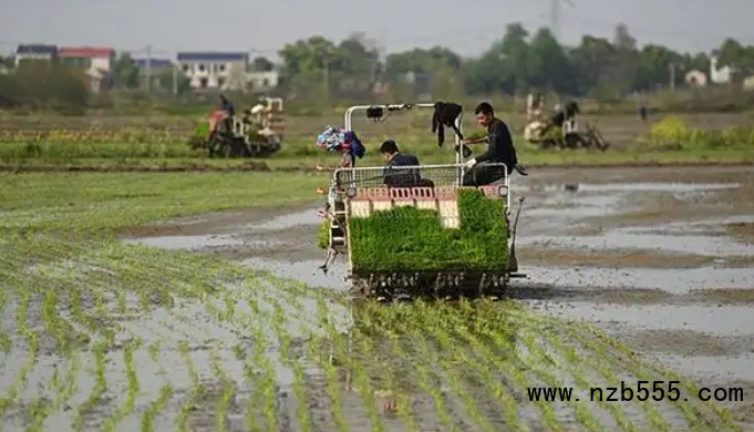 微信截圖_20250417163623