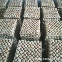 大量批發新鮮野雞蛋七彩野雞蛋七彩山雞蛋 量大價優新鮮保證