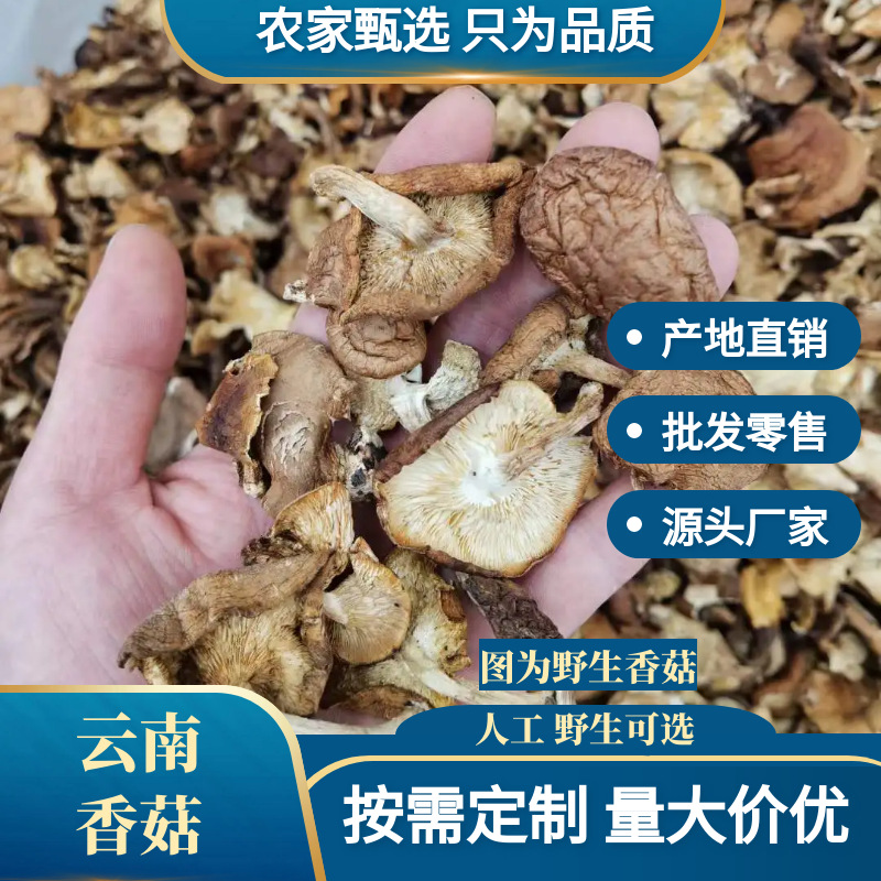 O1CN01YdwBFh1iv8yoReN0E_!!2260994474-0-cib