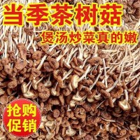 茶樹菇干貨 農(nóng)家特優(yōu)新貨香菇干貨特產(chǎn)茶新菌菇家用煲湯批發(fā)散裝