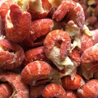 批發(fā)商用大號(hào)特大號(hào)龍蝦尾凈重?zé)o冰衣湖北稻田蝦球新鮮地道特產(chǎn)