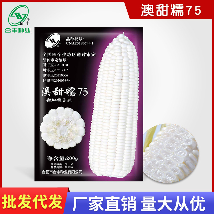 O1CN01REc9601cUE2RKc3wJ_!!2210292443603-0-cib