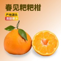 gc四川春見耙耙柑粑粑柑杷杷柑正宗水果新鮮整箱當(dāng)季批發(fā)