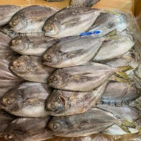 100-150g南美鯧平鯧肉鯧南鯧黑鯧魚倉魚昌魚燒烤快餐油炸魚10kg件