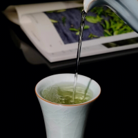 打卡新茶西安品茶工作室跟著茶師學(xué)鑒茶新手也能變行家